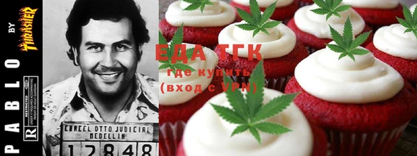индика Новодвинск