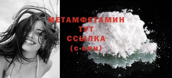 индика Новодвинск