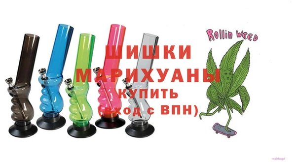 индика Новодвинск