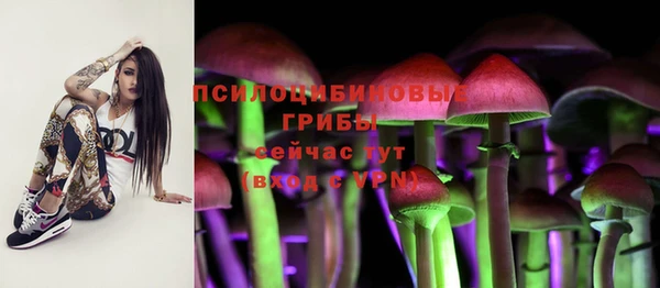 твердый Новокубанск