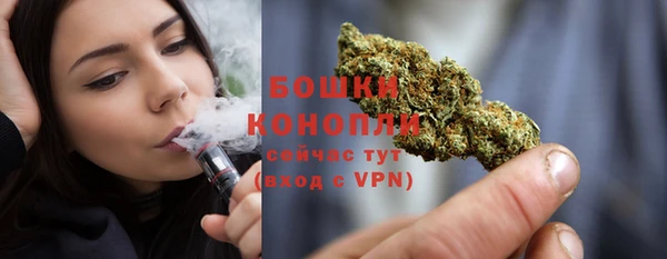 молекула духа Ветлуга