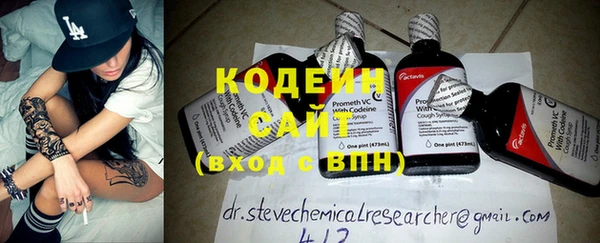 индика Новодвинск