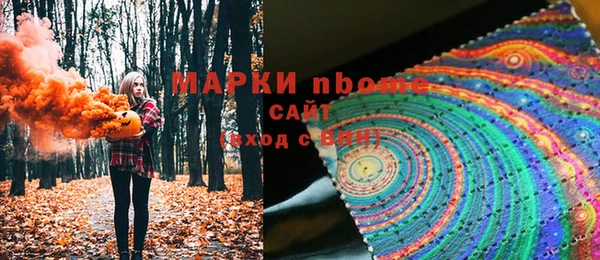индика Новодвинск