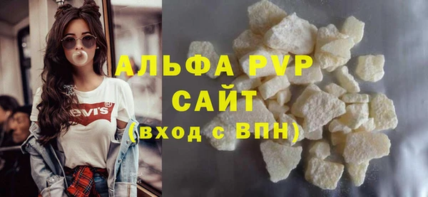 индика Новодвинск